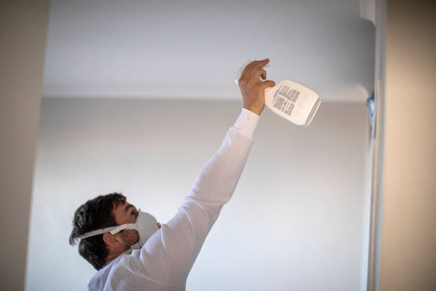 Best Same-Day Mold Removal  in Georgetown, PA