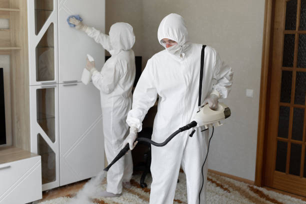 Best Attic Mold Removal  in Georgetown, PA