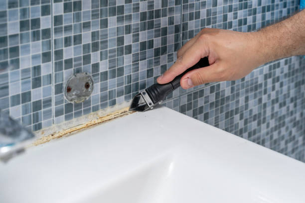 Best Affordable Mold Removal  in Georgetown, PA