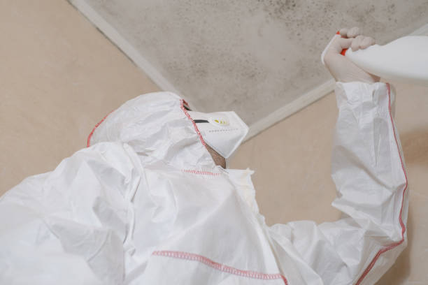 Best Crawl Space Mold Removal  in Georgetown, PA